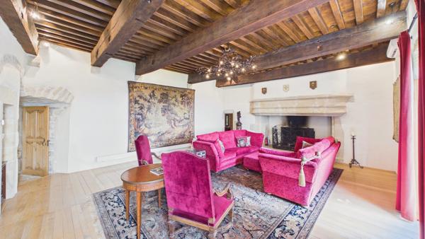 Château historique de 1501 avec vue panoramique et commodités à pied Parisot