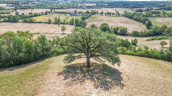 Château historique de 1501 avec vue panoramique et commodités à pied Parisot