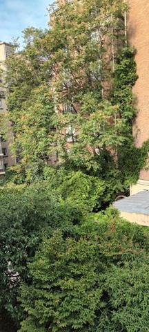 Paris (75016) Entre Passy et Paul Doumer -2 PIECES BALCON - 51M²