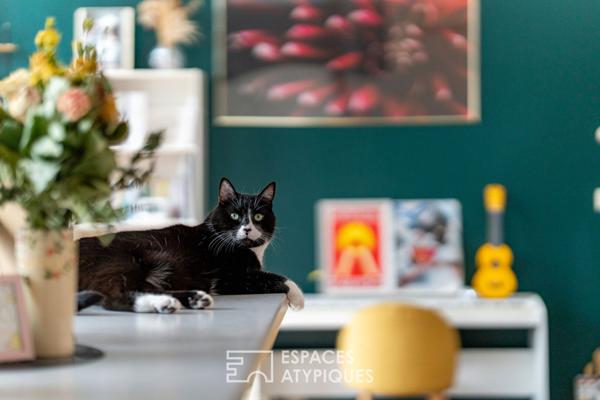 Loft haut en couleurs à Roubaix