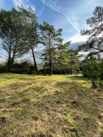 Terrain Chissay En Touraine 2454 m2