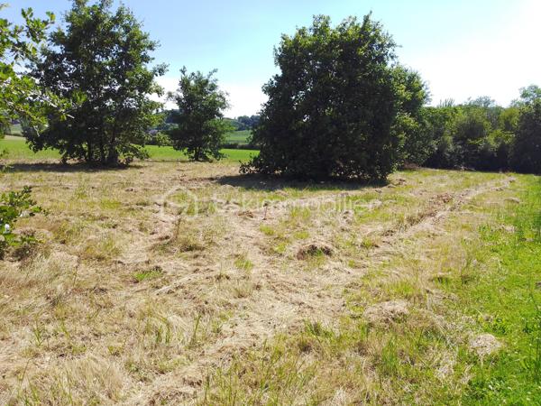 Terrain agricole de 6 213 m²