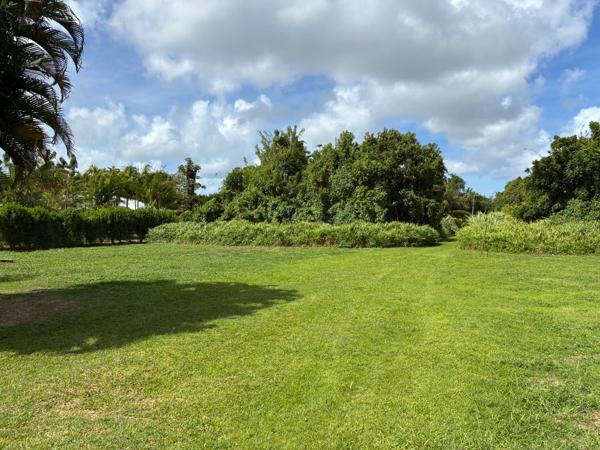 Terrain à vendre  LE LAMENTIN (972)