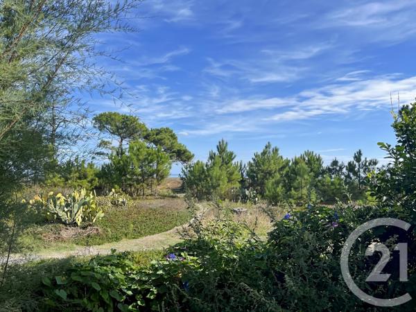 Appartement F2 à vendre  2 pièces - 50 m2 BORGO - 202