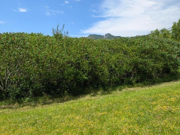 terrain constructible  916 m² sur les hauteurs de SALINS LES BAINS ( JURA)
