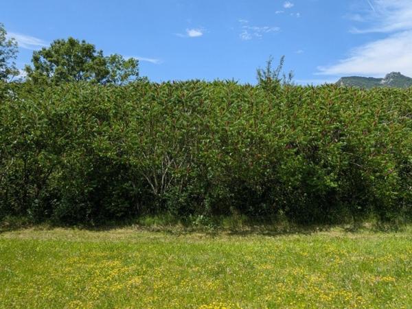 terrain constructible  916 m² sur les hauteurs de SALINS LES BAINS ( JURA)