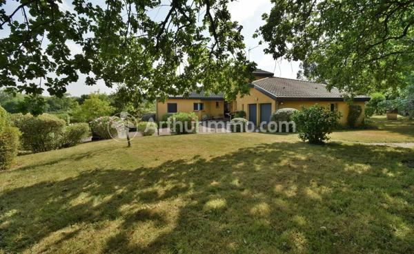 Vente                                                      Maison
                        
                     7 pièces                      206 m2                     à Rouffiac-Tolosan