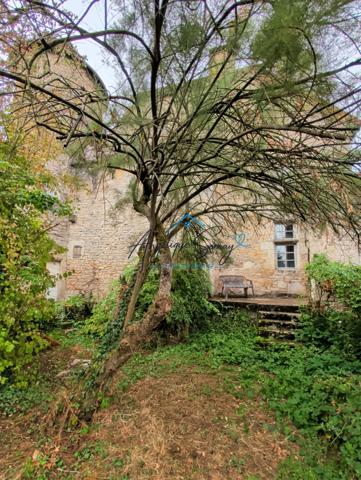 ARLAY – DEMEURE EN PIERRE DU XVIe SIÈCLE, TOUR ET CAVE VOÛTÉE