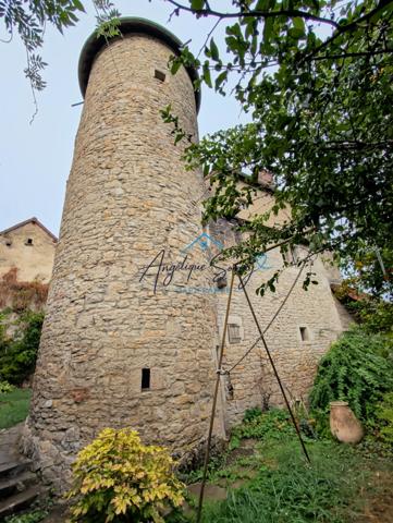 ARLAY – DEMEURE EN PIERRE DU XVIe SIÈCLE, TOUR ET CAVE VOÛTÉE