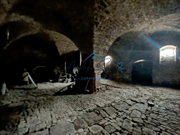 ARLAY – DEMEURE EN PIERRE DU XVIe SIÈCLE, TOUR ET CAVE VOÛTÉE
