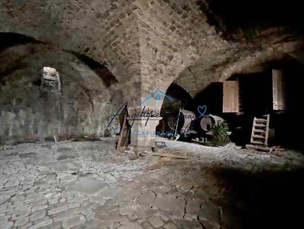 ARLAY – DEMEURE EN PIERRE DU XVIe SIÈCLE, TOUR ET CAVE VOÛTÉE