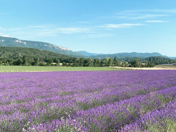 Magnifique propriété avec piscine