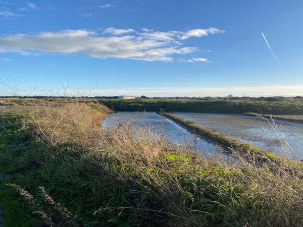 GUERANDE PROCHE LA BAULE - CHARMANTE MAISON ANCIENNE T5 AVEC PATIO