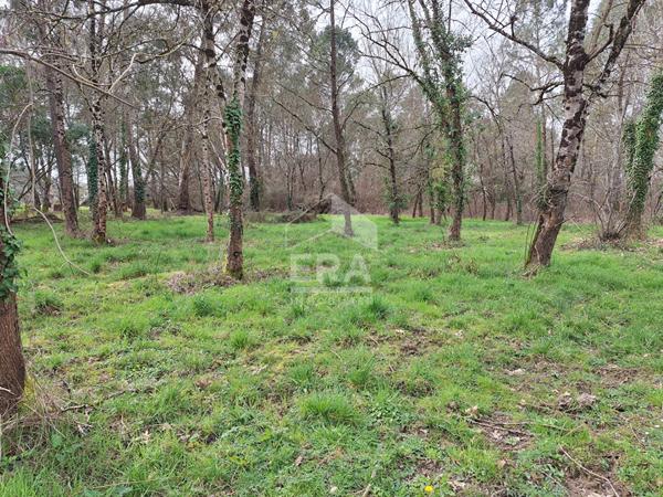 Terrain constructible arboré de 1484 m2 à Ménesplet.