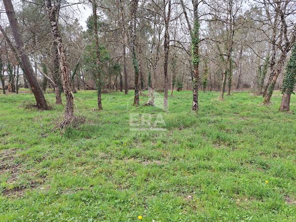 Terrain constructible arboré de 1484 m2 à Ménesplet.