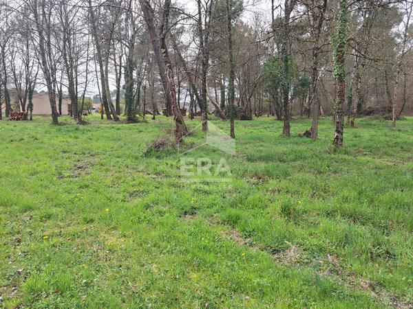 Terrain constructible arboré de 1484 m2 à Ménesplet.