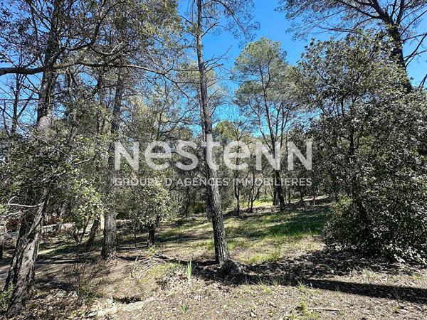EN EXCLUSIVITÉ A VENDRE LORGUES : TERRAIN CONSTRUCTIBLE 2083m² - PROCHE VILLAGE
