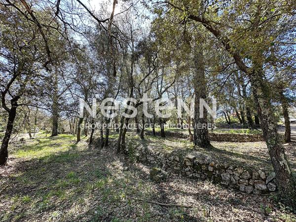 EN EXCLUSIVITÉ A VENDRE LORGUES : TERRAIN CONSTRUCTIBLE 2083m² - PROCHE VILLAGE