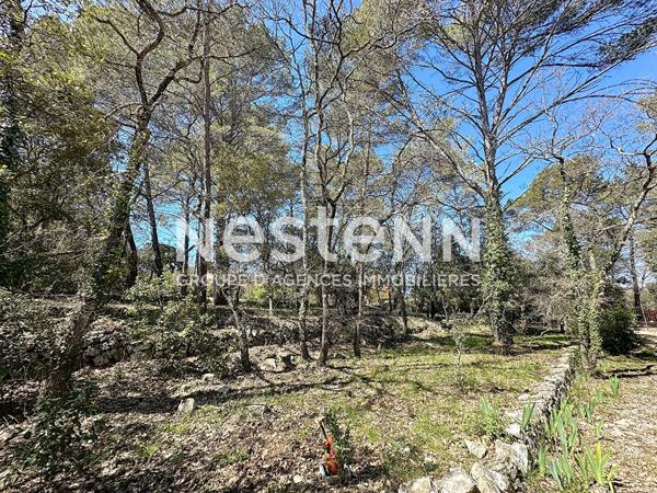 EN EXCLUSIVITÉ A VENDRE LORGUES : TERRAIN CONSTRUCTIBLE 2083m² - PROCHE VILLAGE