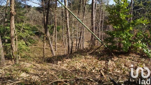 Terrain à vendre 6 341 m² Yvré-le-Pôlin