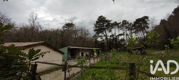 Maison à vendre 15 pièces 479 m² Ambrus