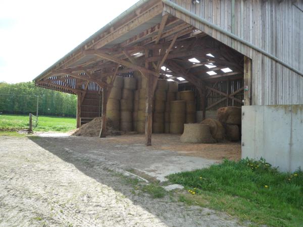 ESSOMES SUR MARNE (02) à vendre joli corps de ferme avec maison et nombreux bâtiments sur un terrain de 10 hectares