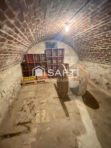 Maison pleine de charme avec son parc arboré