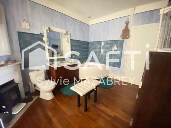 Maison pleine de charme avec son parc arboré