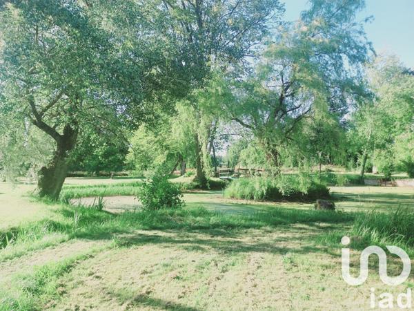 Maison à vendre 8 pièces 273 m² Sarralbe