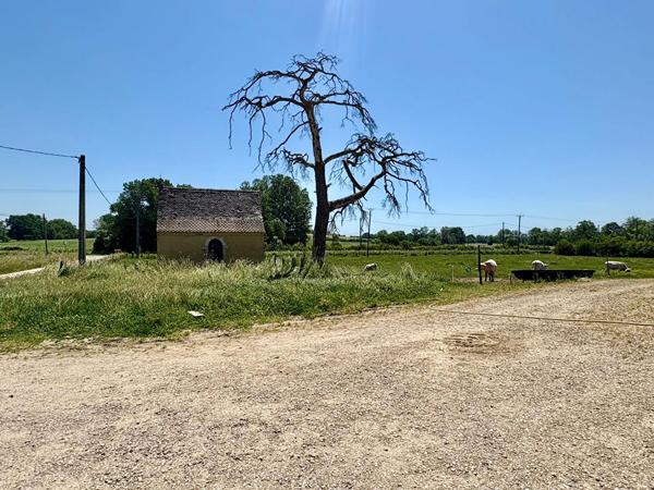 Domaine de Loëze - Propriété d'exception avec 3 logements, chapelle et 8 hectares, fort potentiel à Jayat