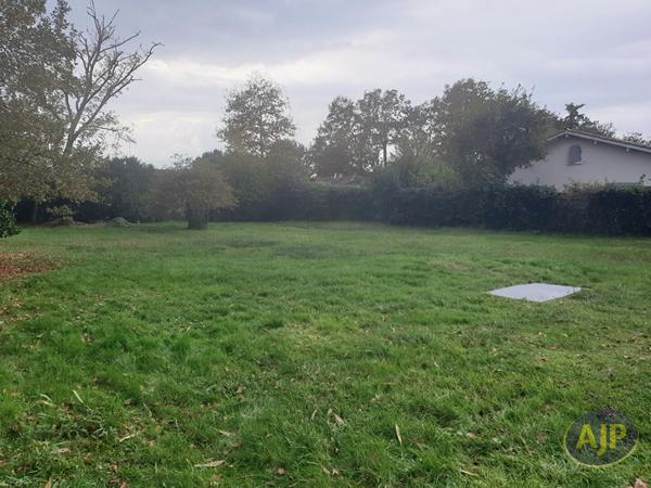 Vente maison Andernos Les Bains : 790 000 € - AJP Immobilier Andernos les Bains