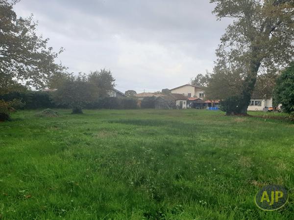 Vente maison Andernos Les Bains : 790 000 € - AJP Immobilier Andernos les Bains