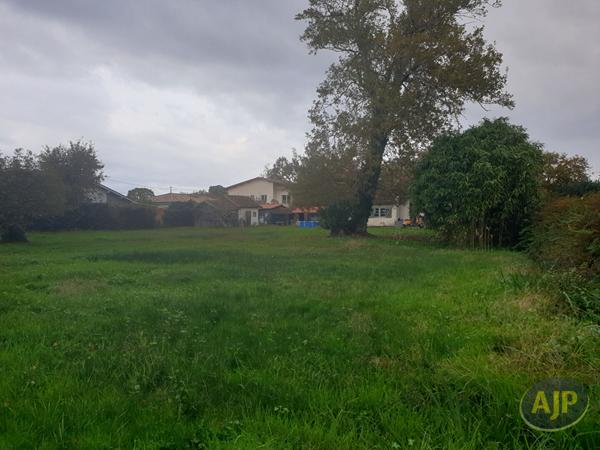 Vente maison Andernos Les Bains : 790 000 € - AJP Immobilier Andernos les Bains