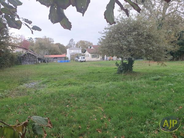 Vente maison Andernos Les Bains : 790 000 € - AJP Immobilier Andernos les Bains