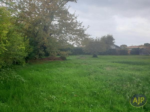 Vente maison Andernos Les Bains : 790 000 € - AJP Immobilier Andernos les Bains