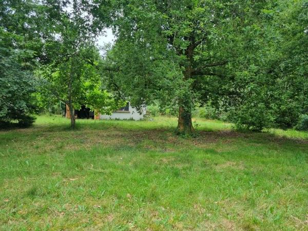 Terrain à vendre 253 800 € Lège-Cap-Ferret 806 m² DPE