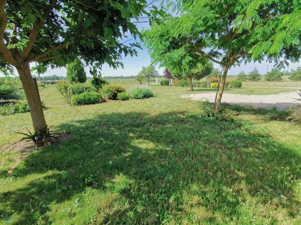 Maison 6 pièces, grand terrain et nombreuses dépendances