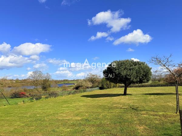 Maison à LA TESSOUALLE, 49280 - 10 pièces 230m²