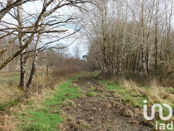 Maison 3 pièces de 84 m² à Salbris (41300)