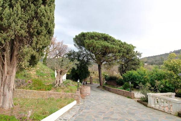 Maison pour investisseur avec un terrain 7000m2