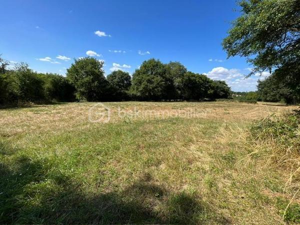 Terrain de loisirs de 3 599 m²