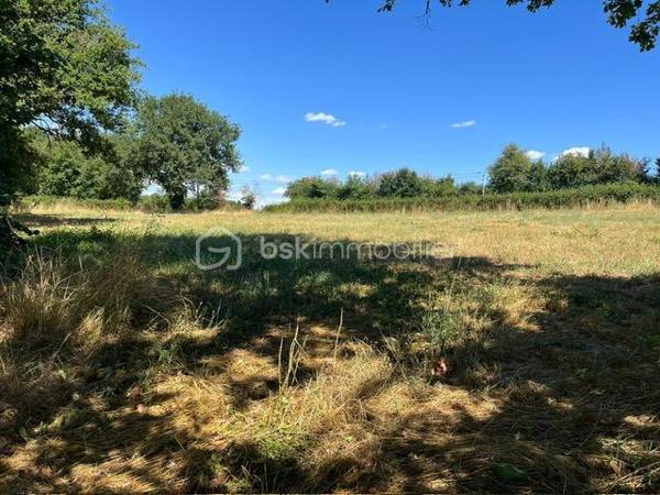 Terrain de loisirs de 3 599 m²