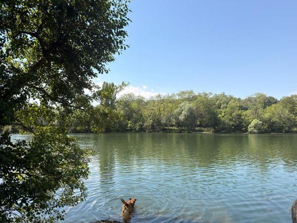 Maison Soisy Sur Seine 5 pièce(s) 90 m2 avec un Terrain de 6220m2
