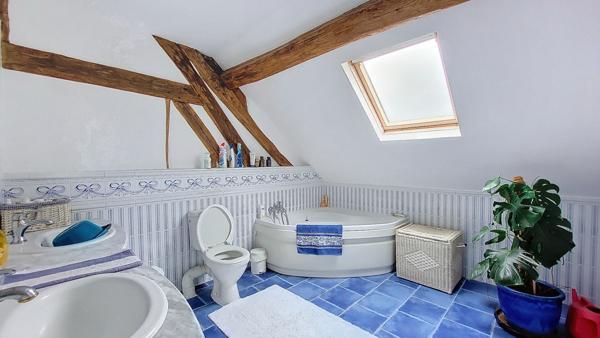 Demeure de prestige Saint Georges Sur Cher 11 piece