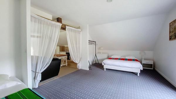 Demeure de prestige Saint Georges Sur Cher 11 piece