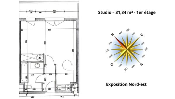 Divonne-les-Bains (01220) STUDIO AVEC BALCON ET PARKING SOUS-SOL – MEUBLÉ
