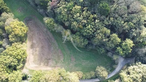 Terrain de loisir avec bassin. La Chaize Giraud