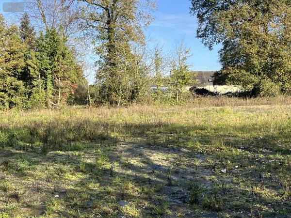 Achat - Terrain à bâtir Ploërmel 56800 1606 m 2
