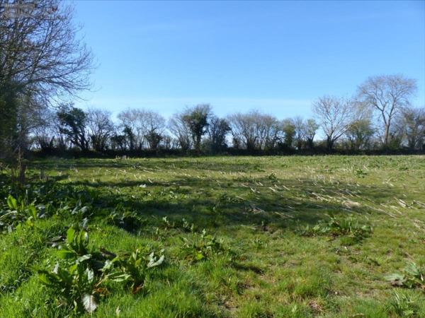 Terrain à Batir à vendre à Mobecq dans la Manche (50250), ref : 50061-999730