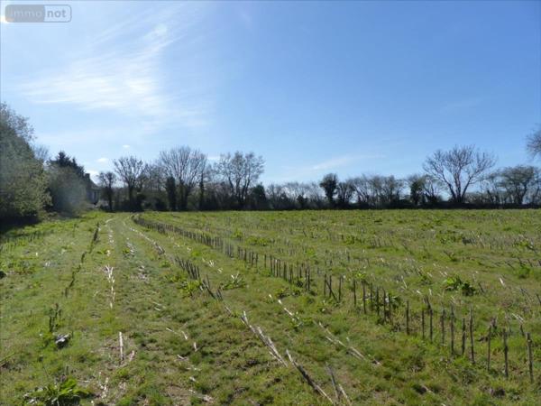 Terrain à Batir à vendre à Mobecq dans la Manche (50250), ref : 50061-999730